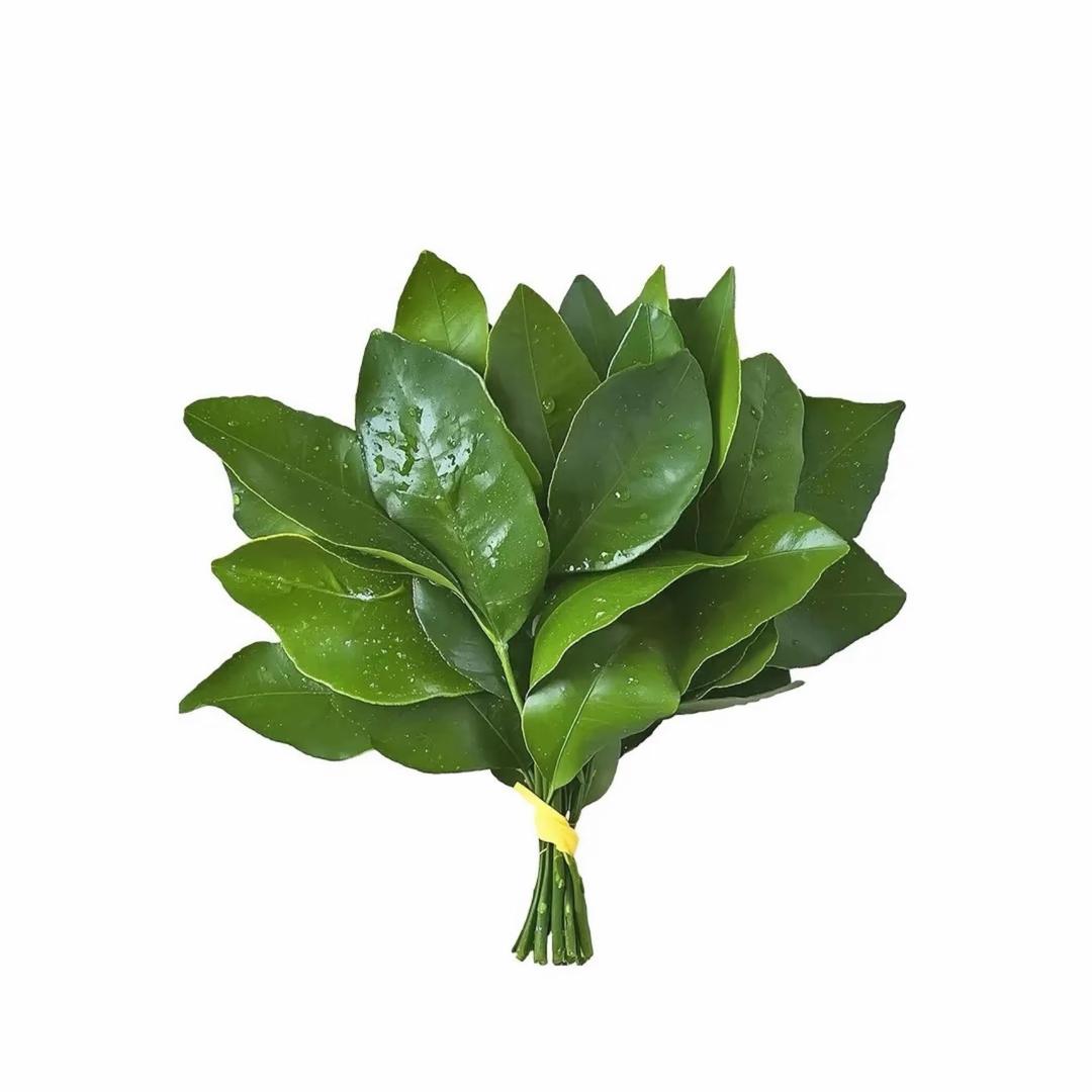 镁莎
