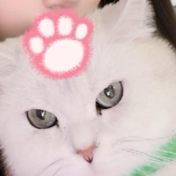 哇卡小白拆卡（游戏王版）