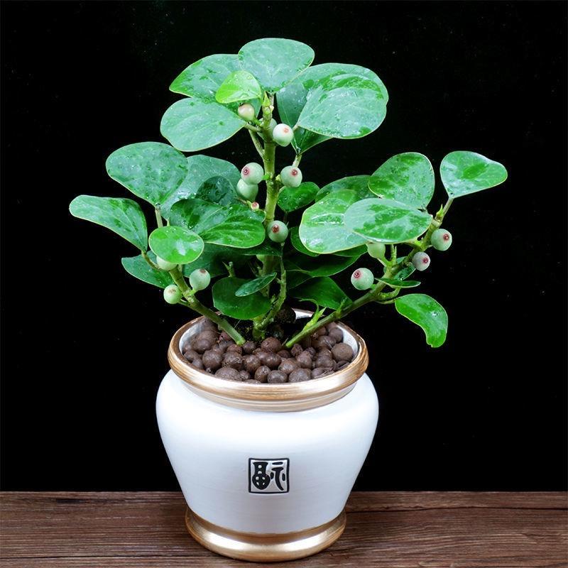 暂无名