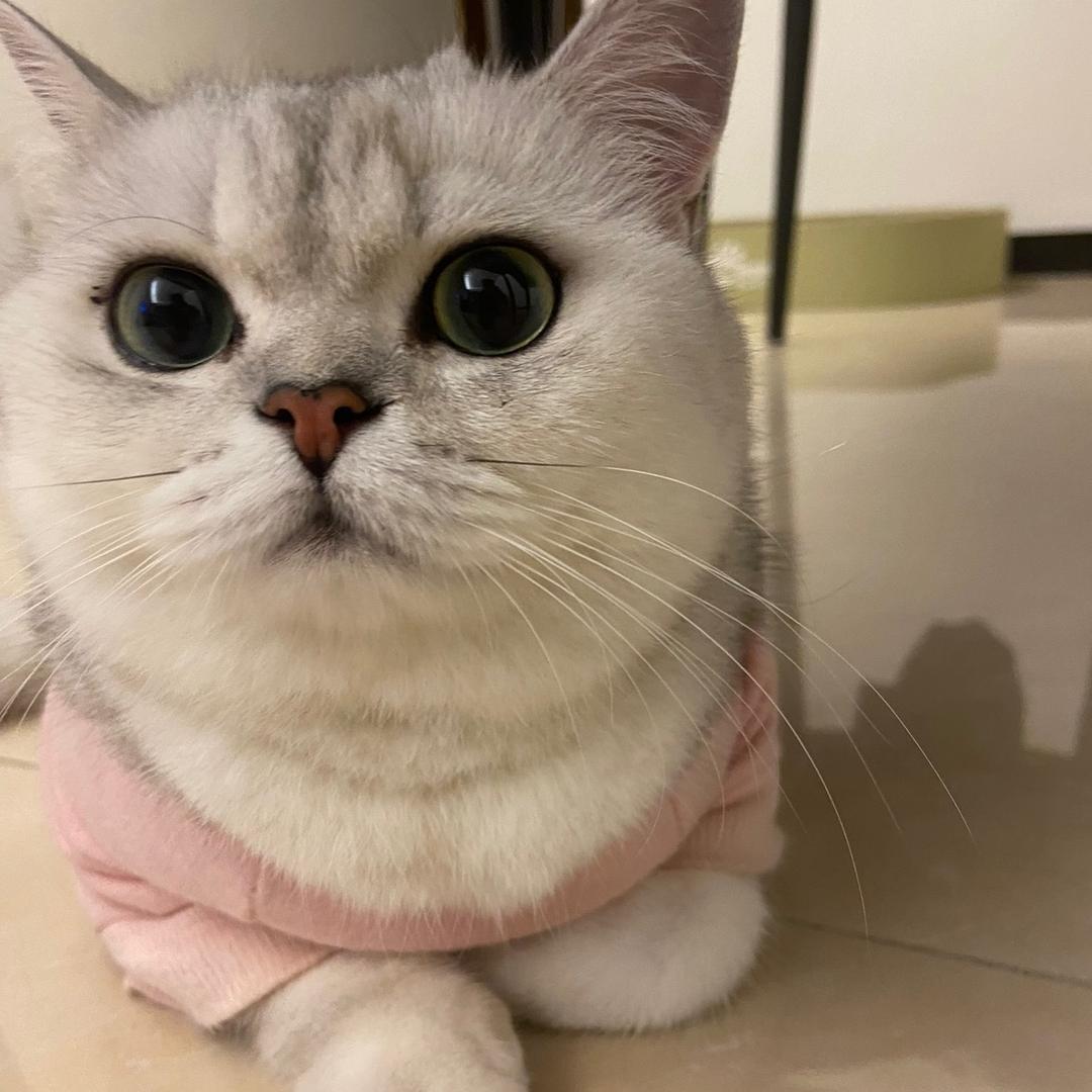 小包