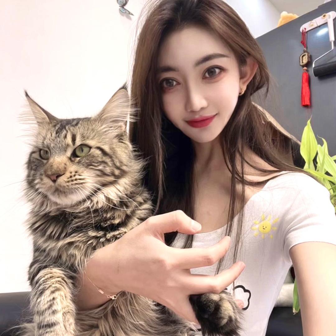 😺😺