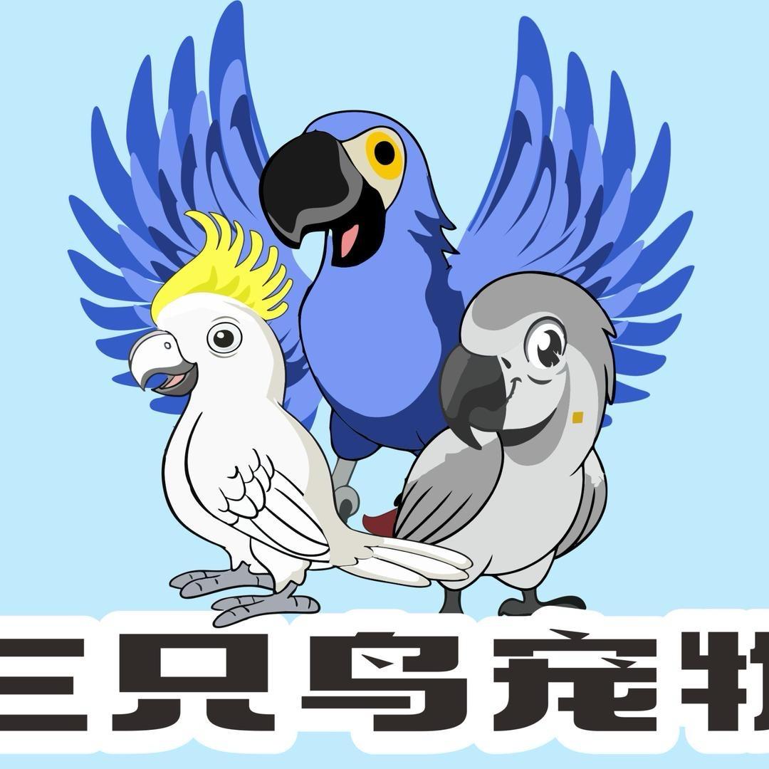 郑州三只鸟宠物服务店铺号