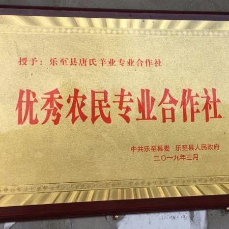 乐至县唐氏羊业专业合作社