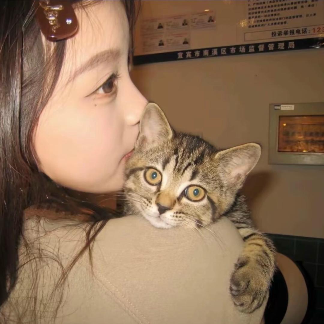炸毛小猫.🐾