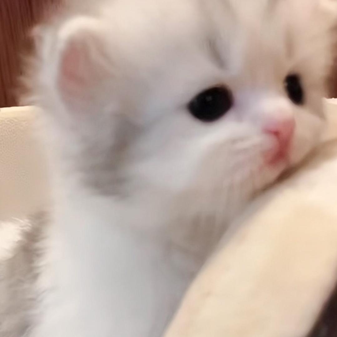 小馨倦