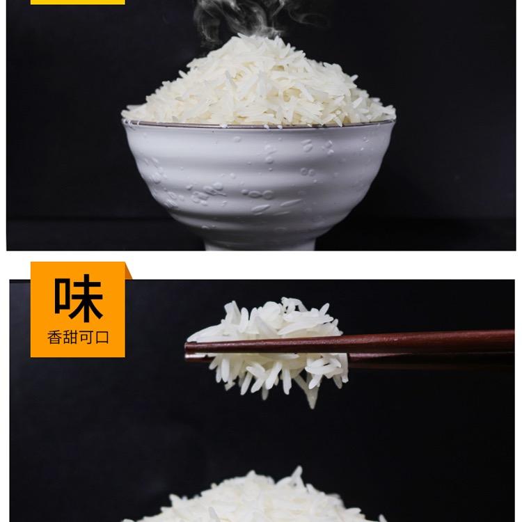 广西“桂香禾”香米