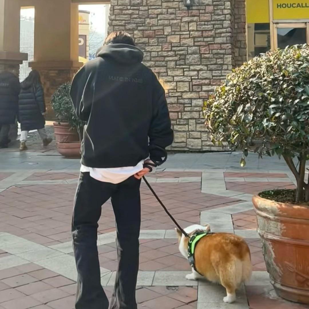 艺术家不想画画了