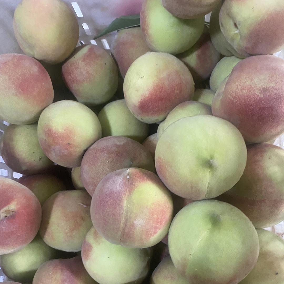 诺亿农业企业店