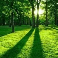 放下🙏你就赢了