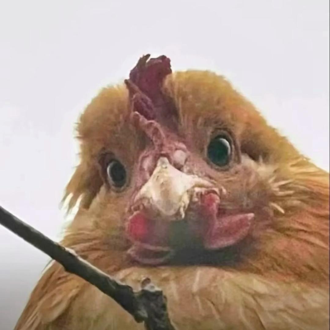 ，。？这，，？