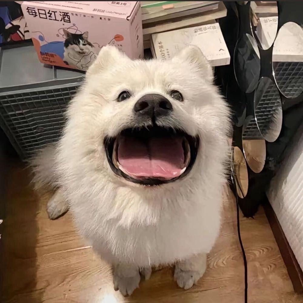 xiao凝