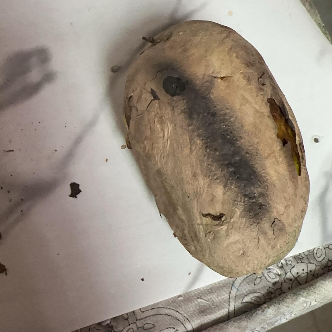 做个开心快乐的我