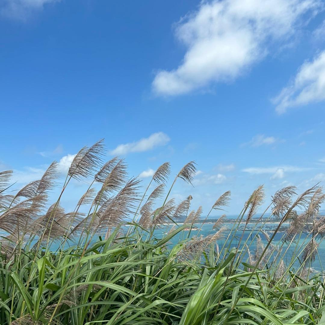 体验人生女配变身～