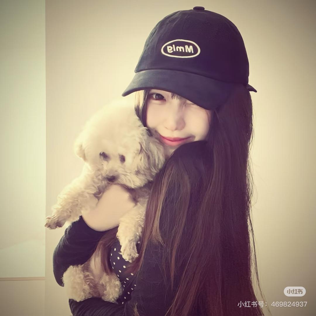 樱花树下的约定🌸