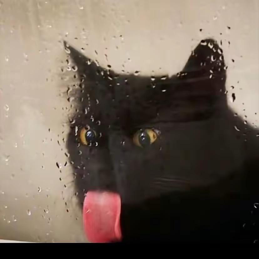 金枪鱼（三角洲行动）