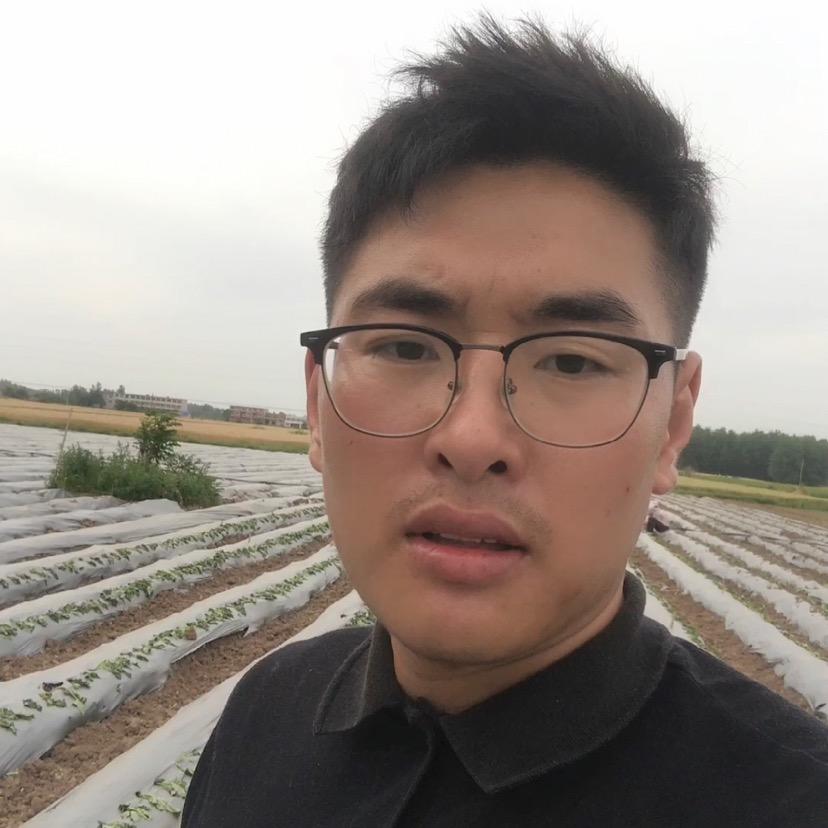 挖红薯的阿超