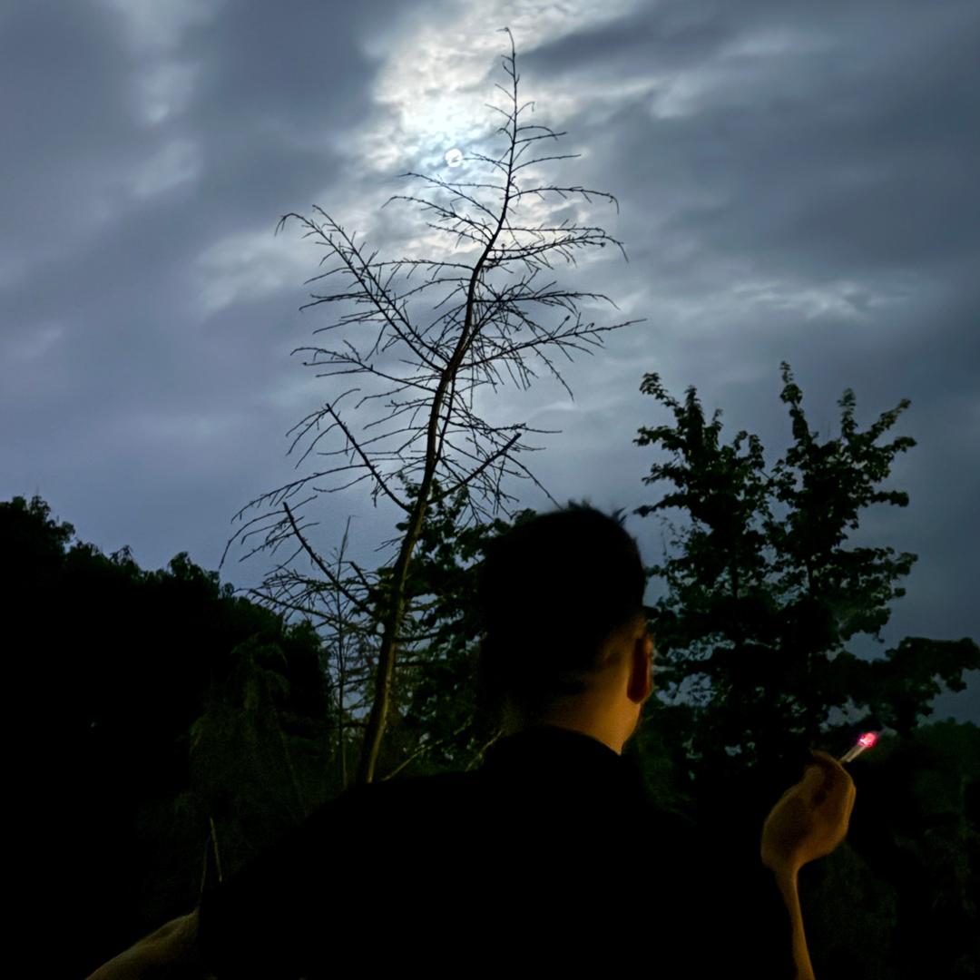 ༄欭惗༄