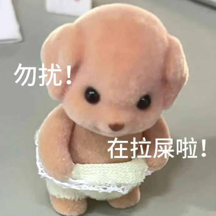 在干嘛