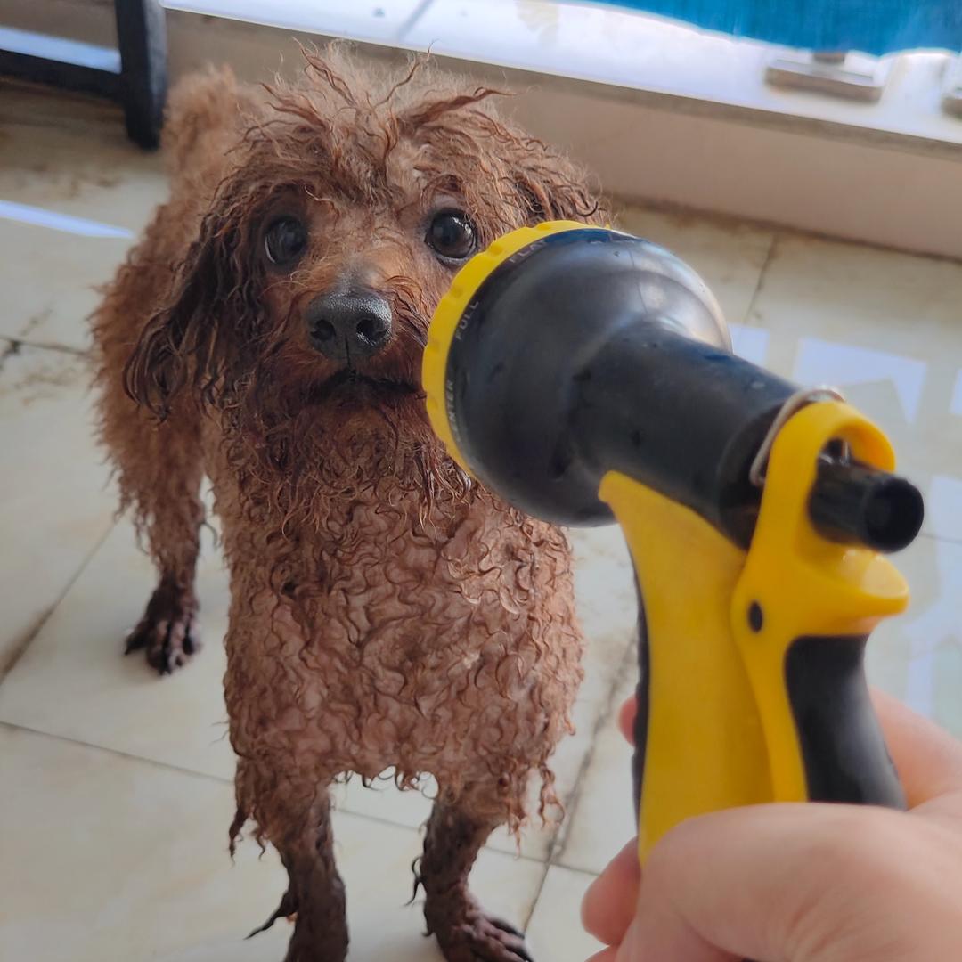 老奔的养老日记