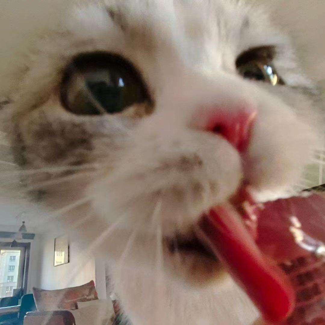 卡农