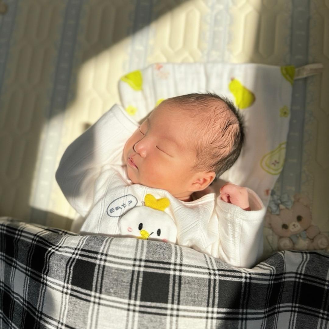 多肉👶🏻霸霸（成长记录）