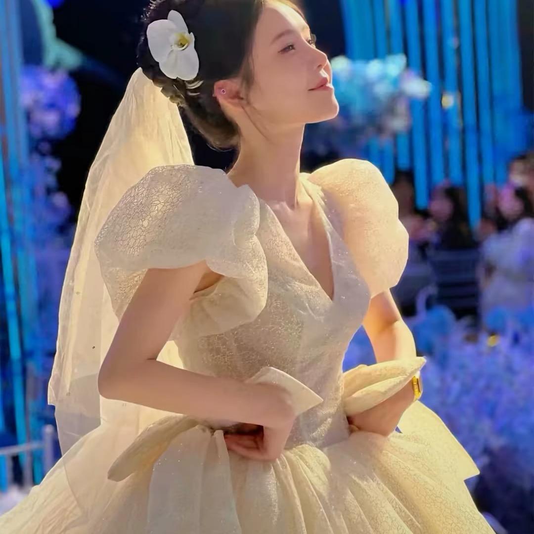 天洲贺迪小猪猪