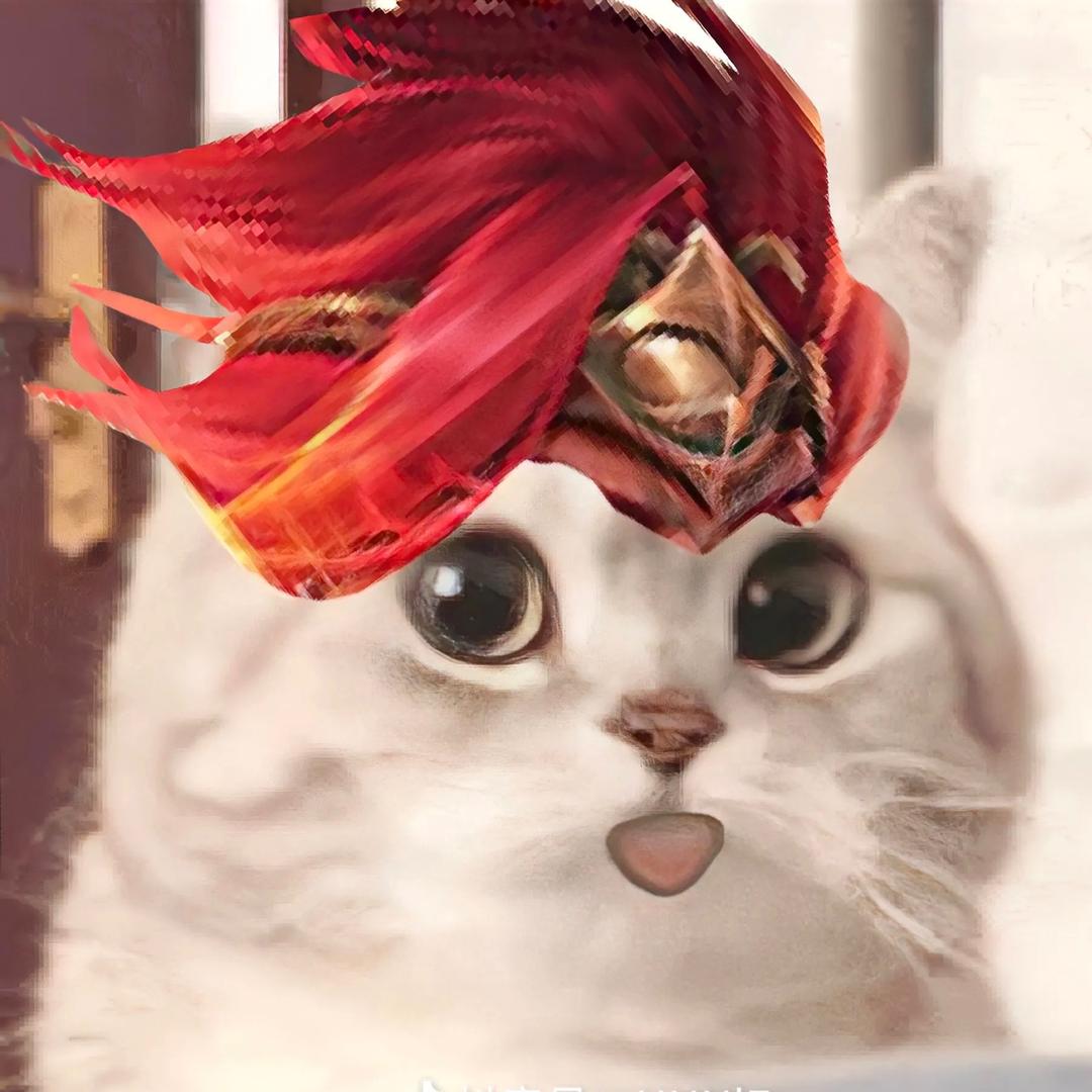 ᐢ..ᐢ（laozi should 3）