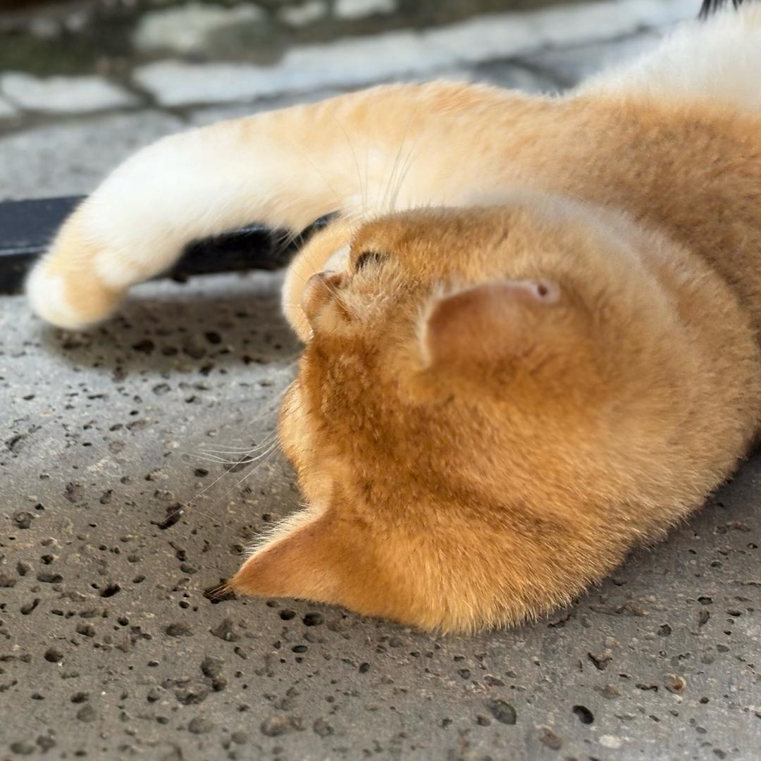 左与右