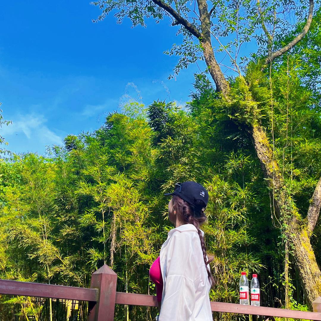 小苏👸