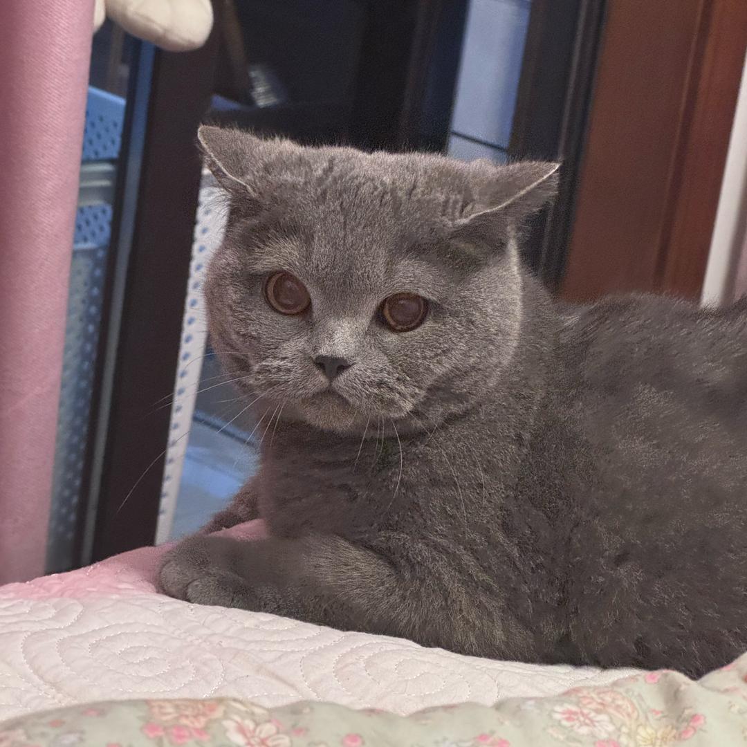 佳慧呀