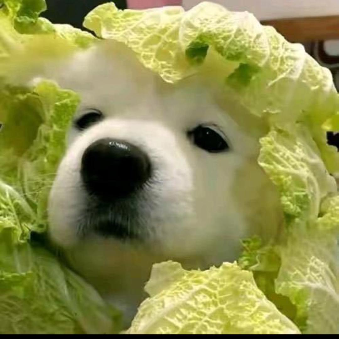 臻