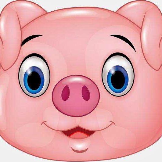 小🐷同学