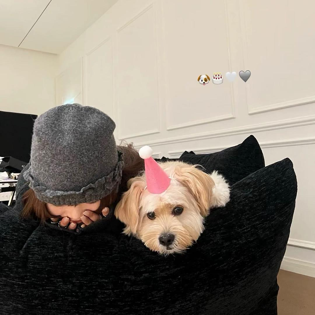 ︋︋︋︋︋   ㅤㅤㅤㅤ