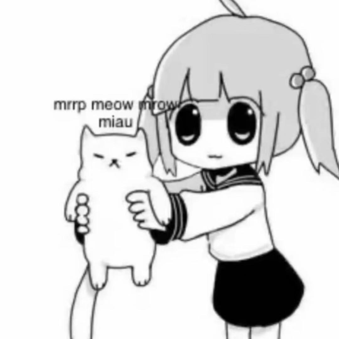 你的电脑变成了猫