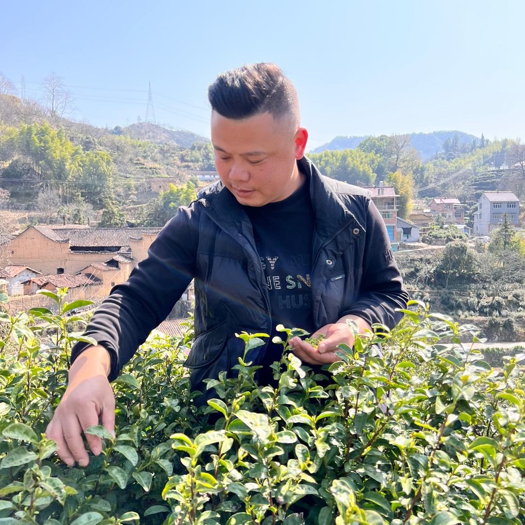 玖玖香茶叶