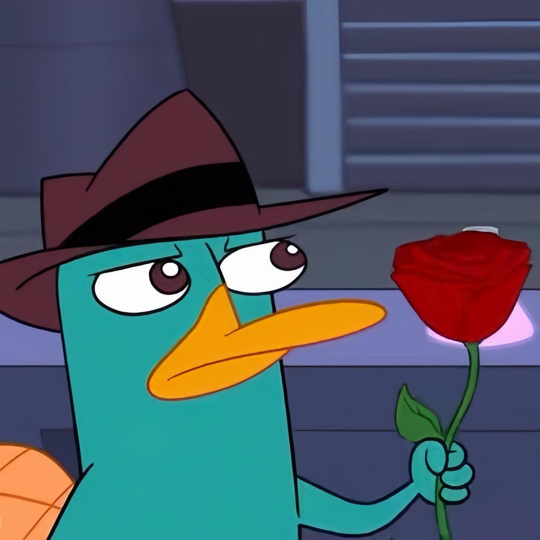 去O.W.C.A整点泰瑞