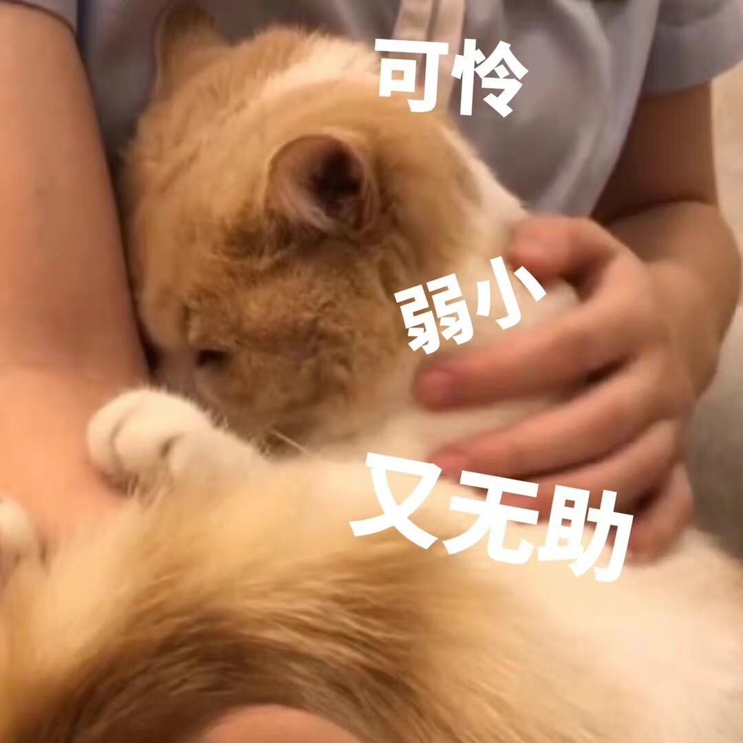 好吧好吧，你都对