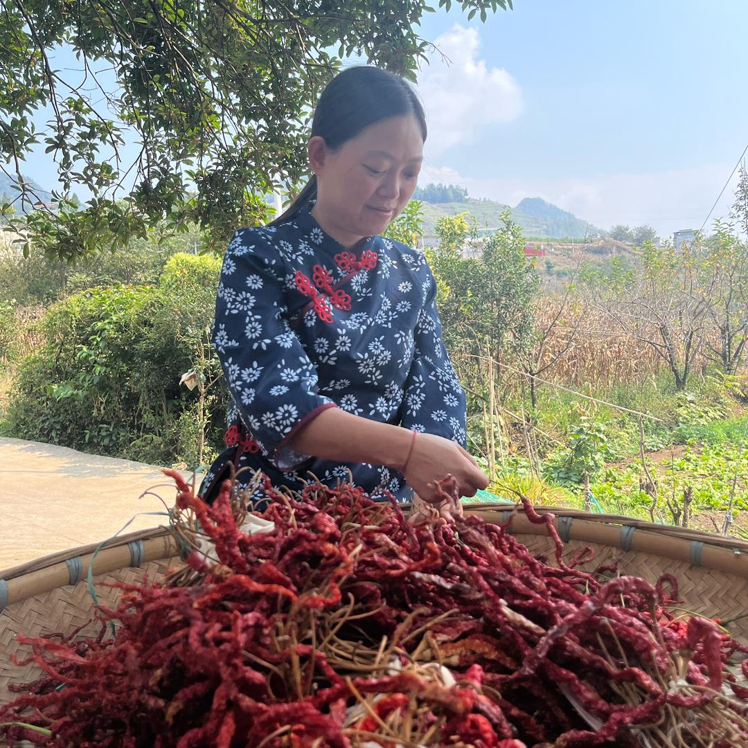 贵州小辣妹