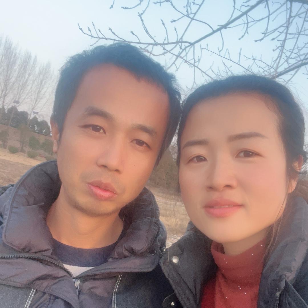 杨凌组培苹果苗