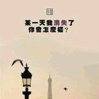 臭宝@