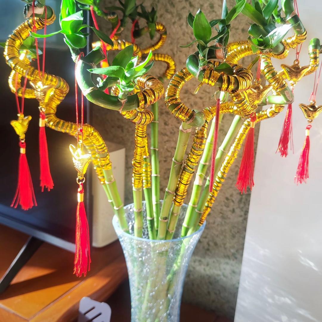 粤西  周培哥