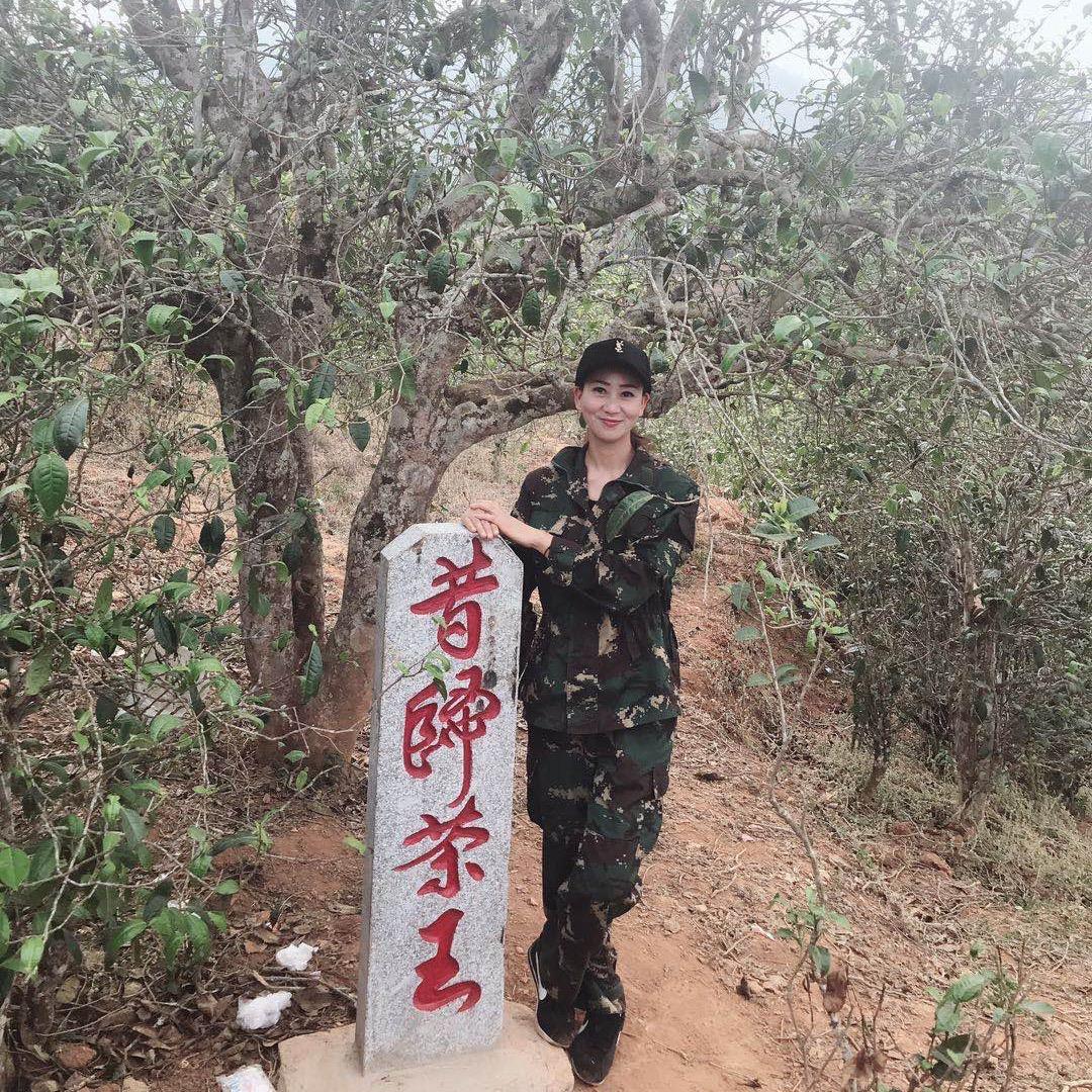 静静私藏茶