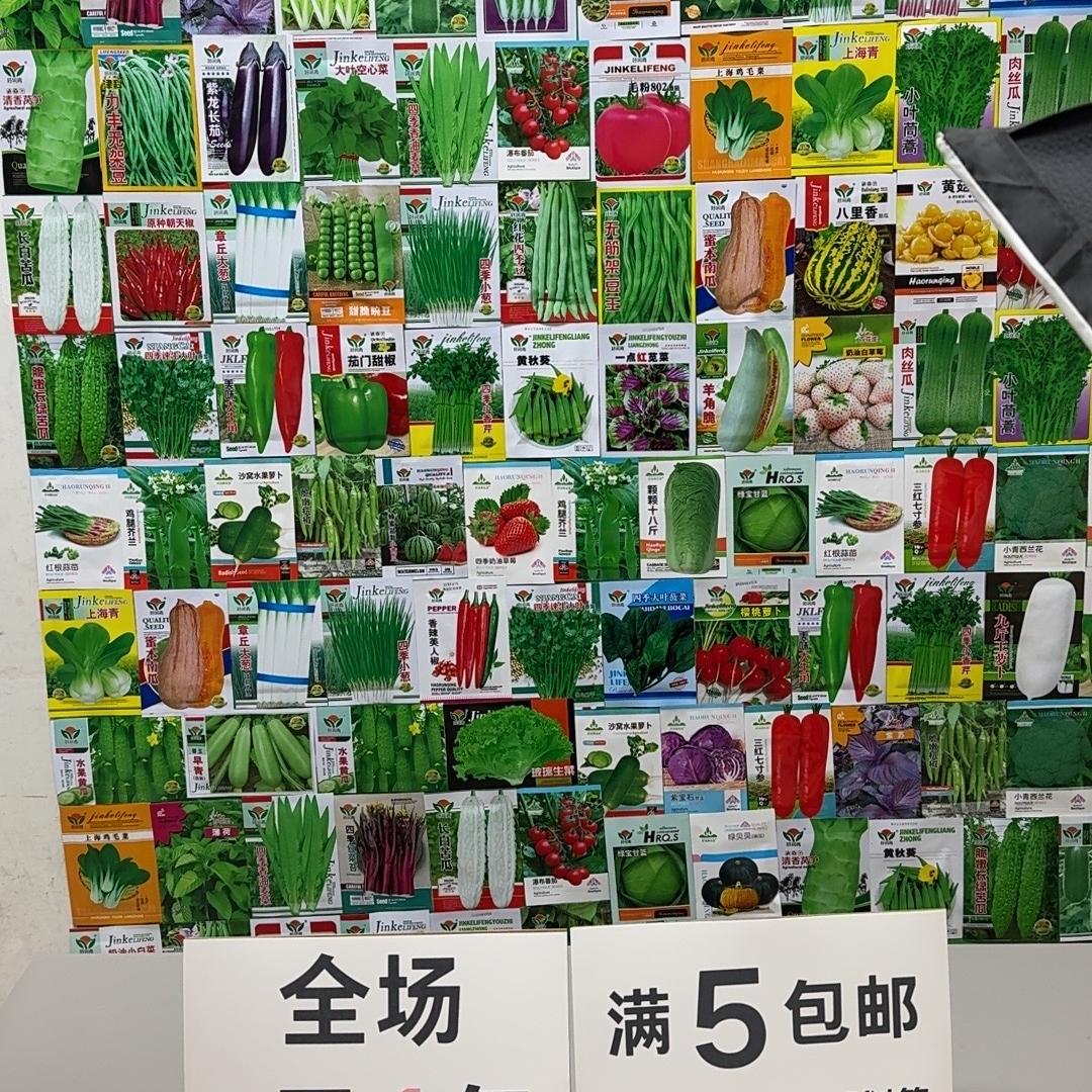 开心果园蔬菜种子店