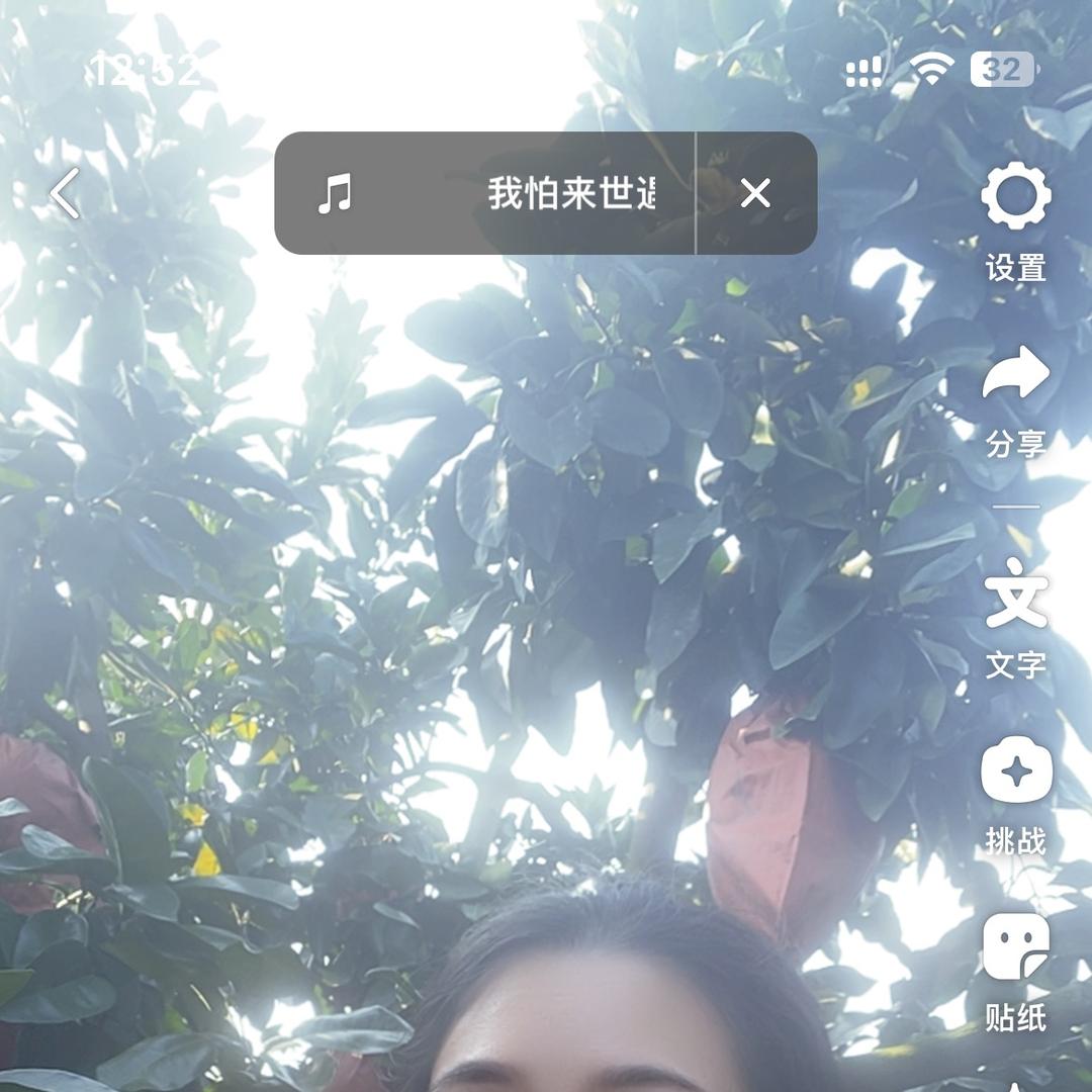 龙海市程溪镇洋奎村芒里