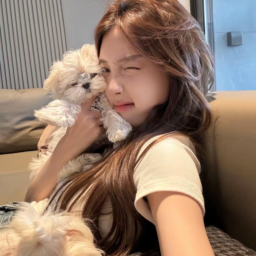 小尹睡不醒🦄