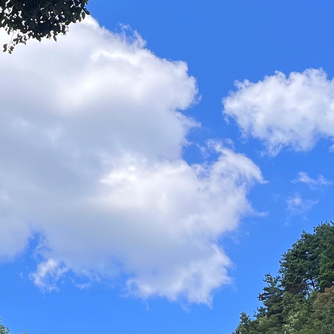 别