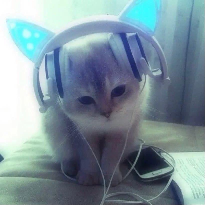 妮.