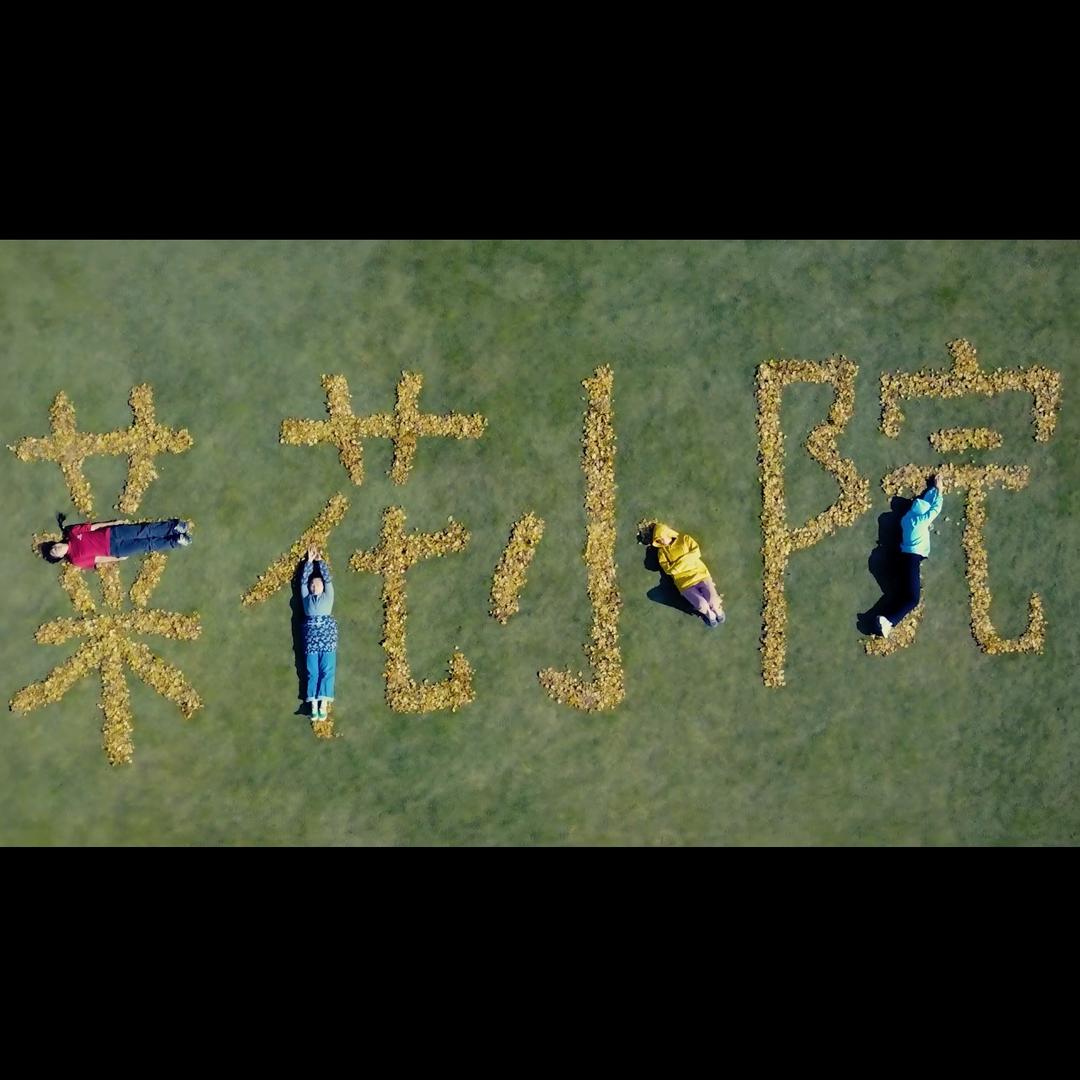 菜花家日记