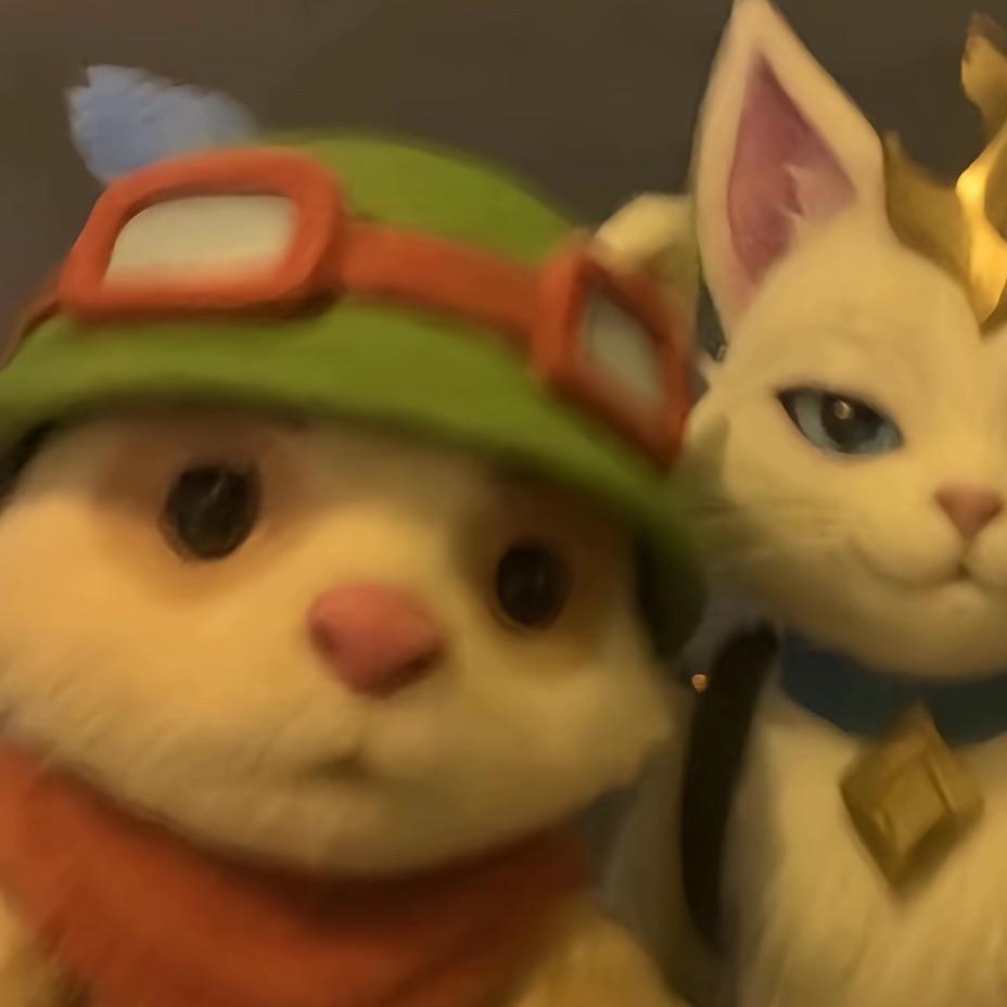 義只猫猫