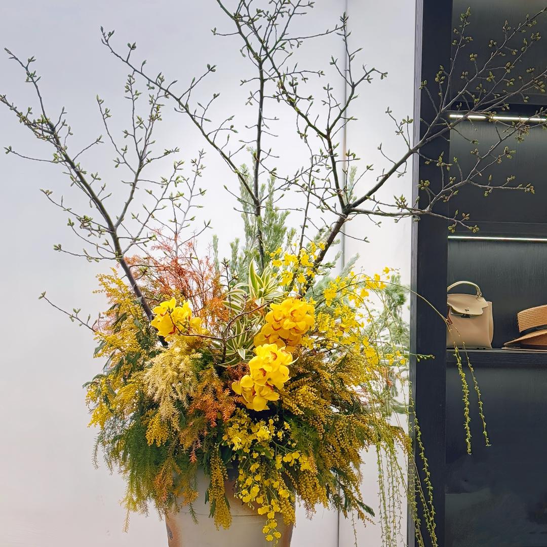 大嫂教你学穿搭